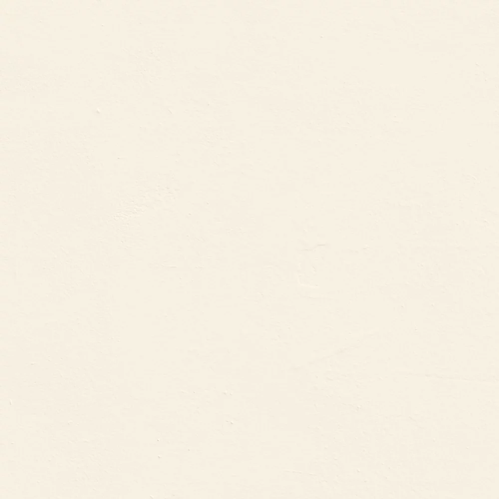 LickPro Eggshell White BS 10 B 15 Emulsion Paint 5Ltr - Image 2