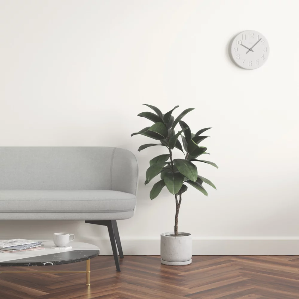 LickPro Eggshell White RAL 9010 Emulsion Paint 5Ltr - Image 6