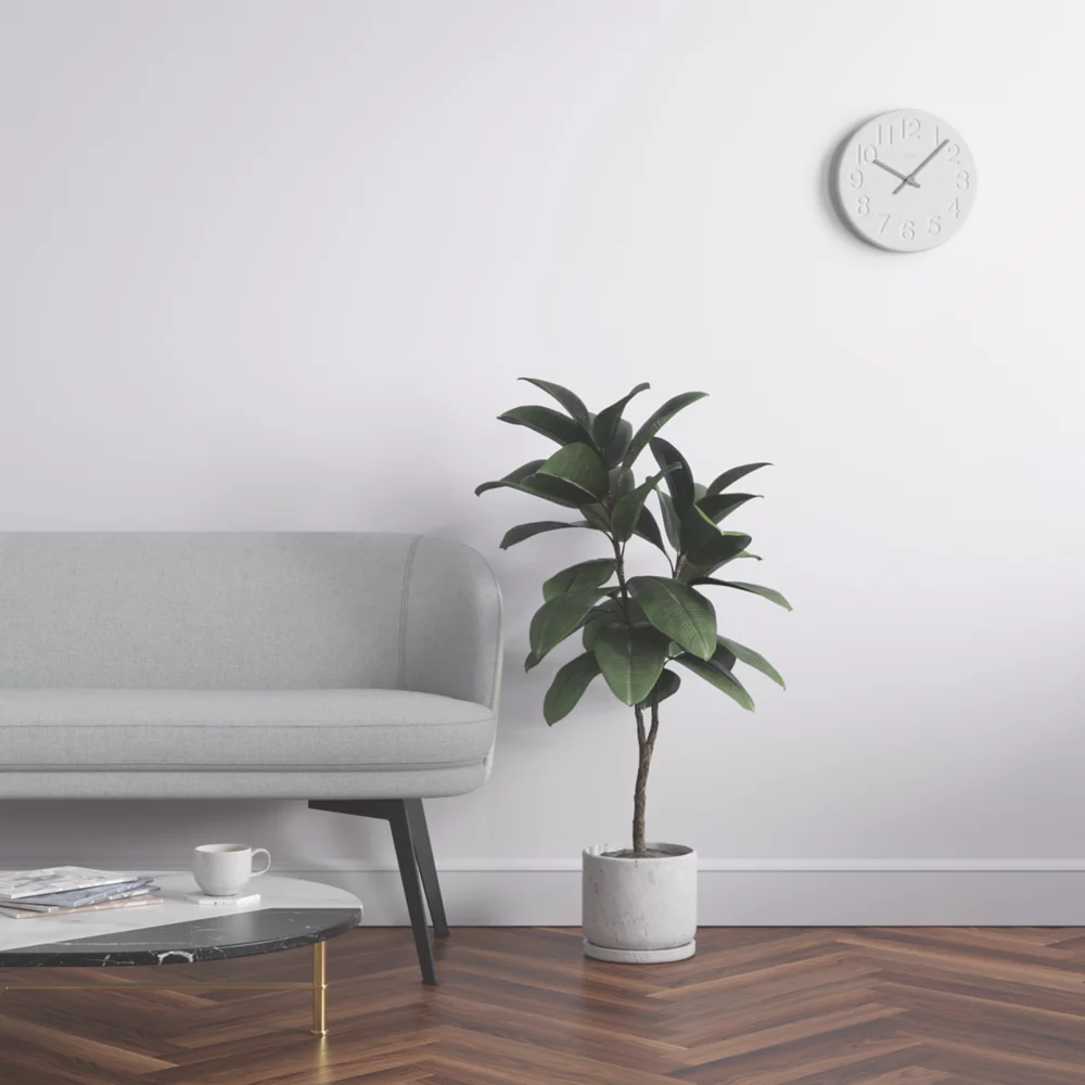 LickPro Eggshell Grey 14 Emulsion Paint 2.5Ltr - Image 6