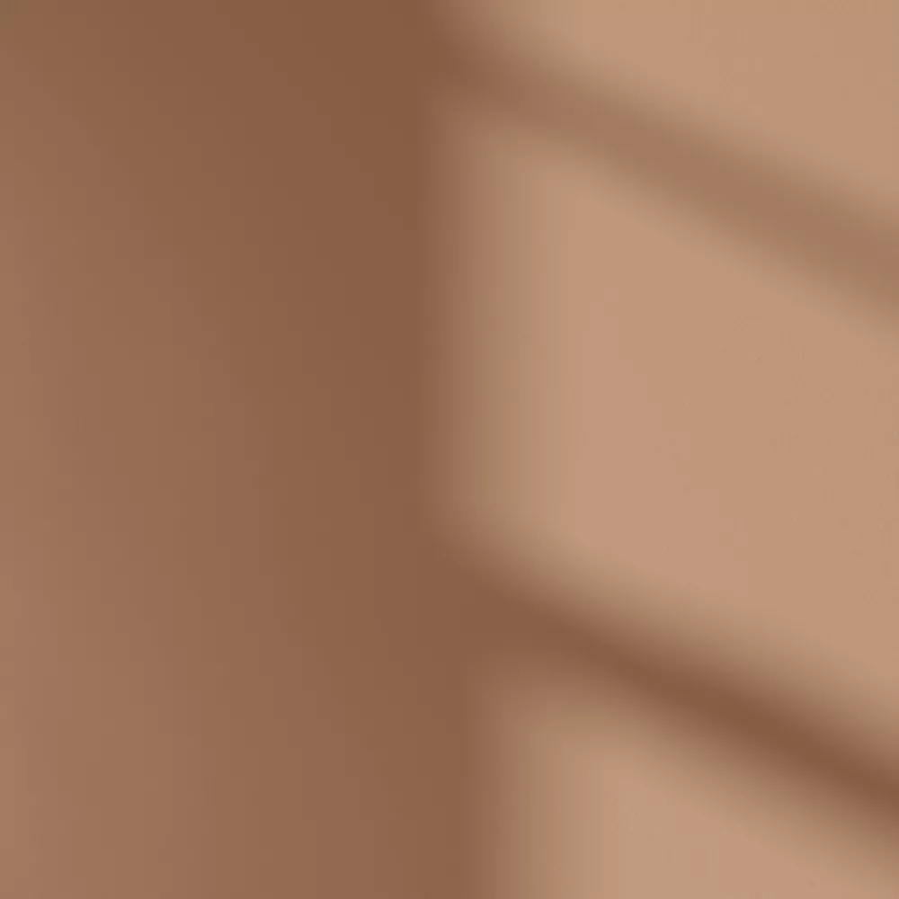 LickPro Matt Brown 02 Emulsion Paint 5Ltr - Image 3