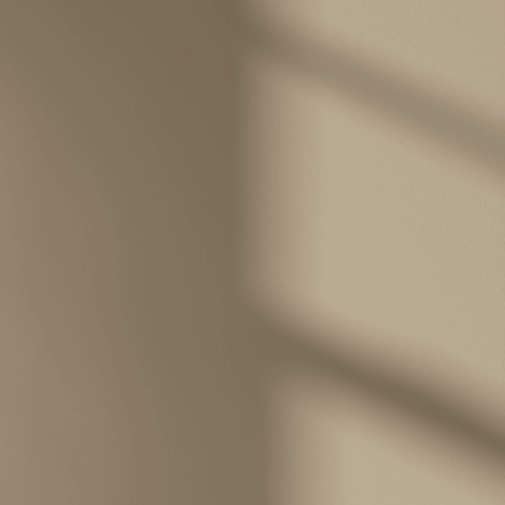 LickPro Matt Beige 08 Emulsion Paint 5Ltr - Image 3