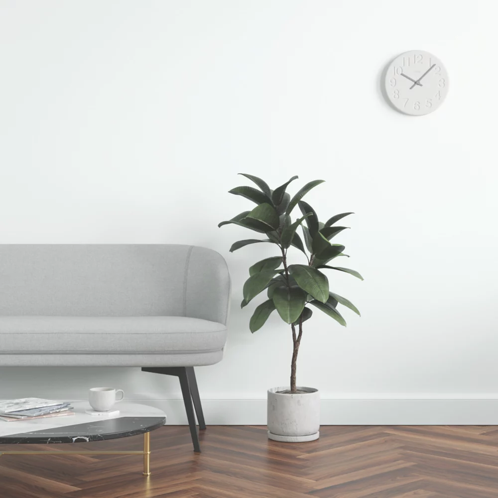 LickPro Matt White 07 Emulsion Paint 2.5Ltr - Image 6