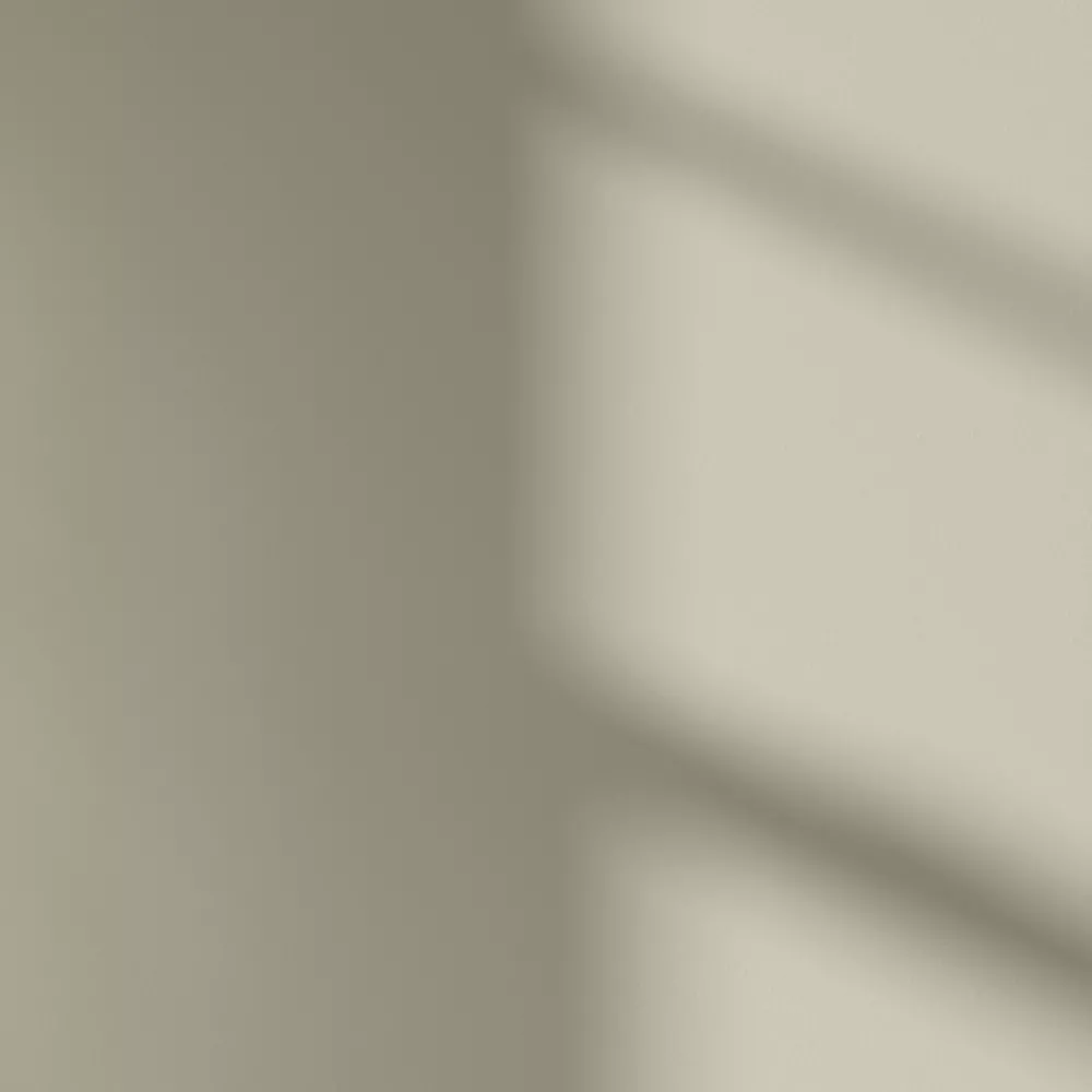 LickPro Matt Beige 06 Emulsion Paint 2.5Ltr - Image 3