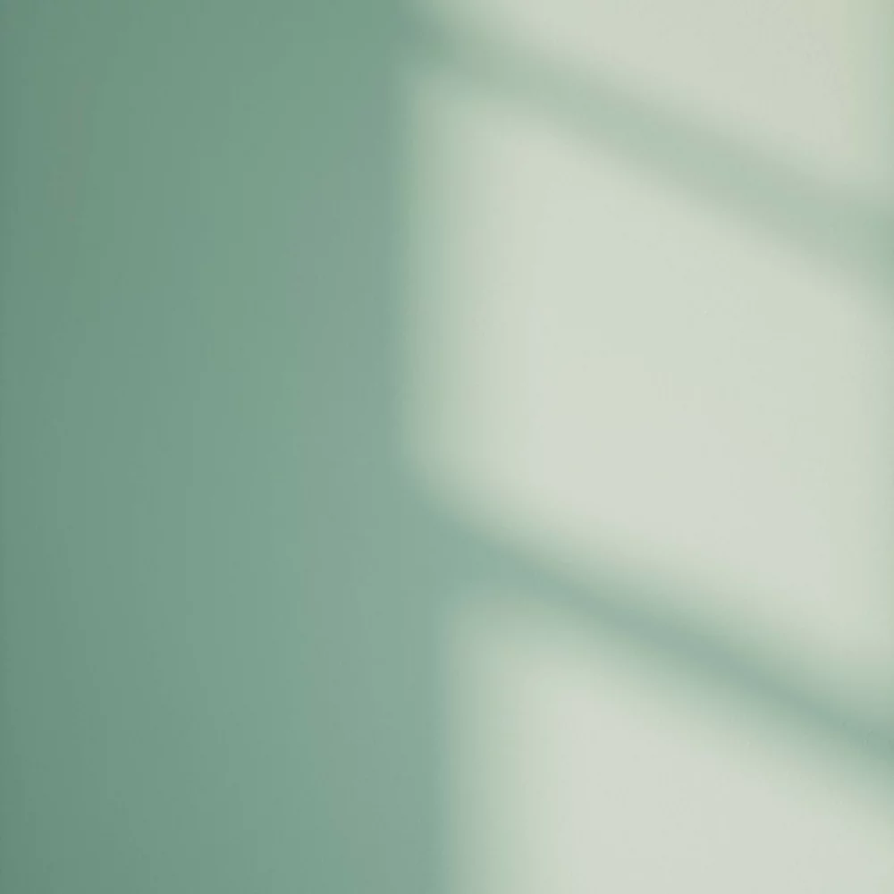 LickPro Matt Green 08 Emulsion Paint 5Ltr - Image 3