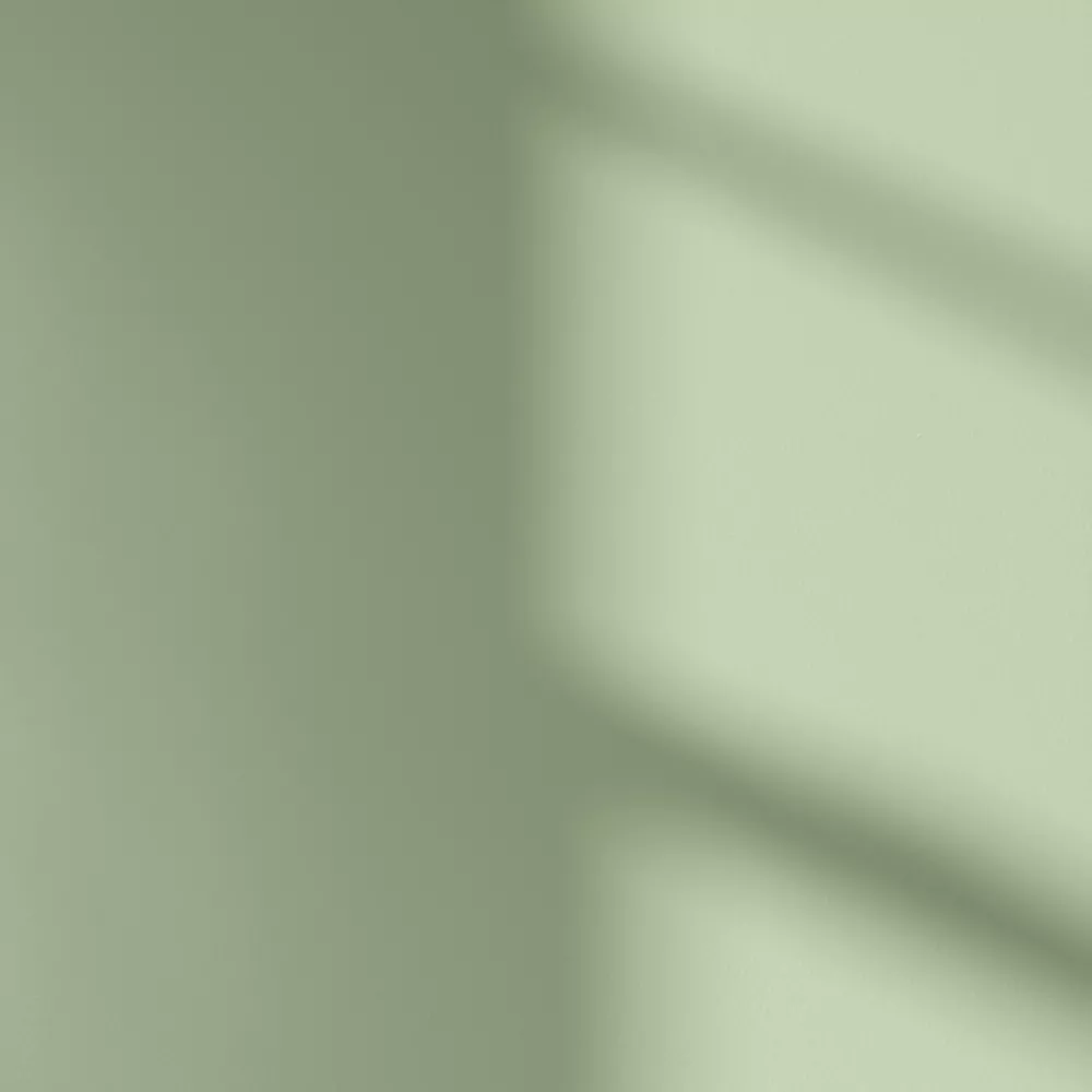 LickPro Matt Green 14 Emulsion Paint 2.5Ltr - Image 3