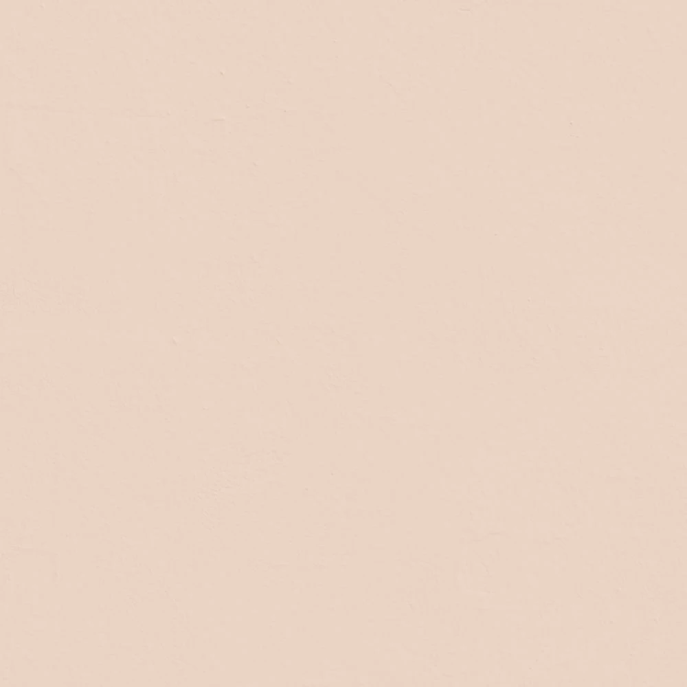 LickPro Matt Pink 02 Emulsion Paint 5Ltr - Image 2