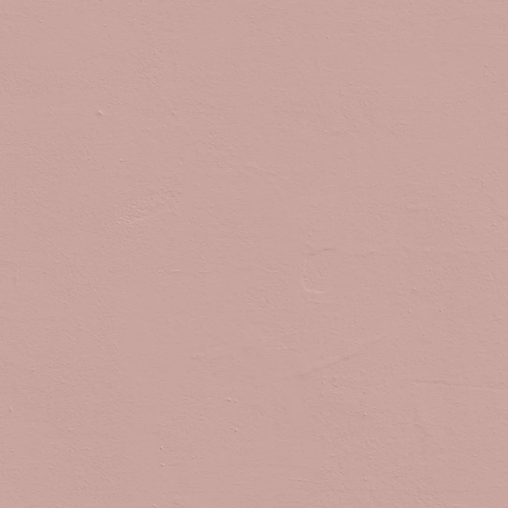 LickPro Matt Pink 09 Emulsion Paint 5Ltr - Image 2