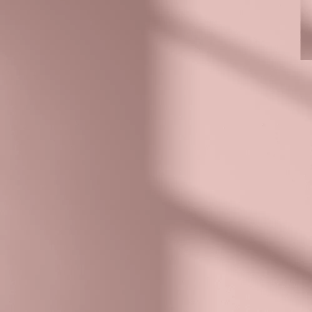 LickPro Matt Pink 09 Emulsion Paint 5Ltr - Image 3