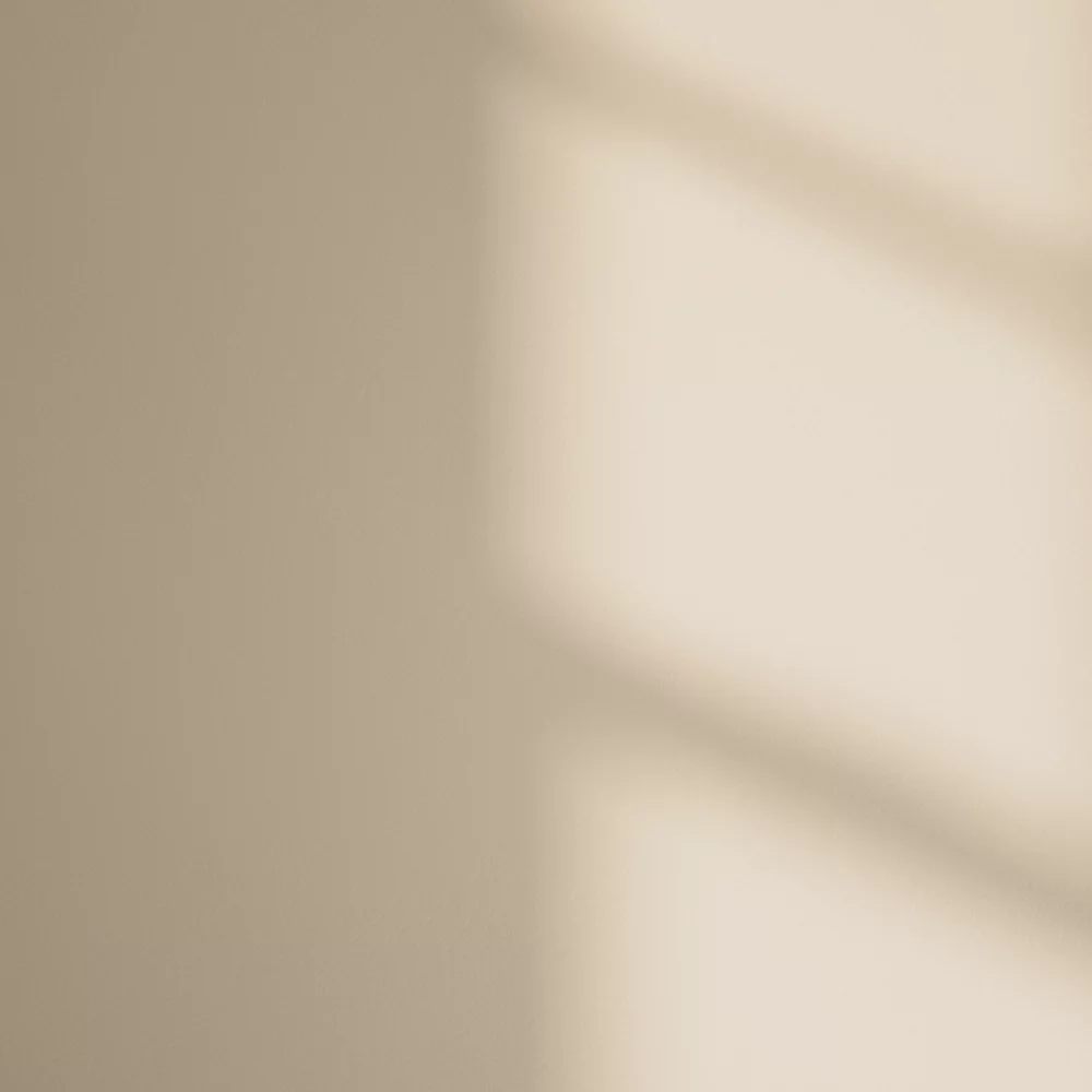 LickPro Matt Beige 01 Emulsion Paint 2.5Ltr - Image 3