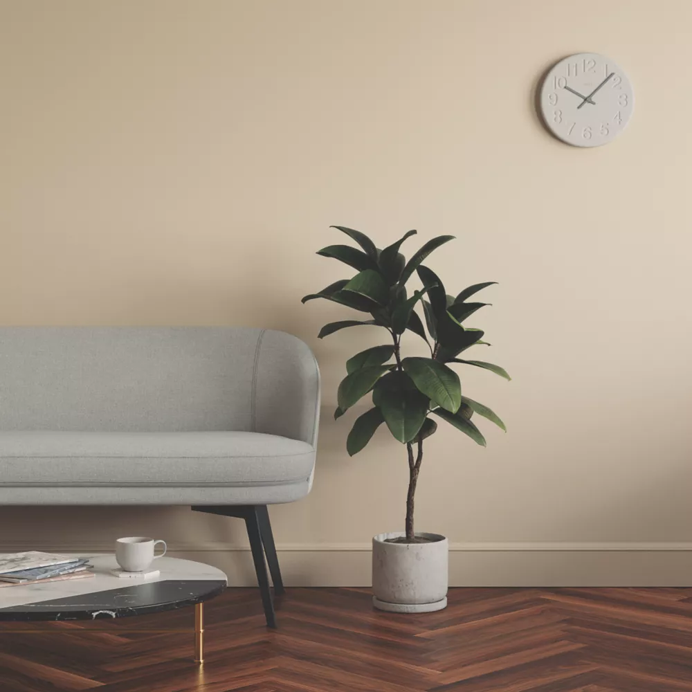 LickPro Matt Beige 01 Emulsion Paint 2.5Ltr - Image 6