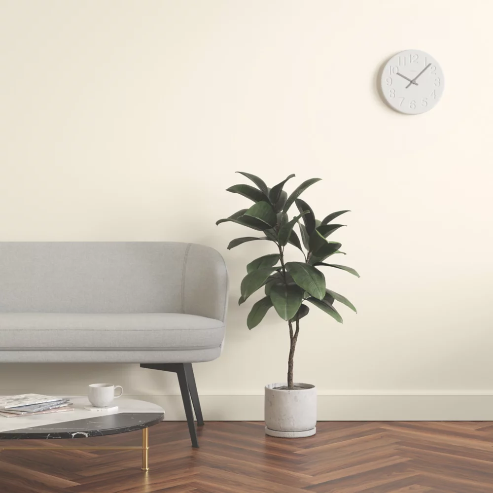 LickPro Matt White BS 10 B 15 Emulsion Paint 5Ltr - Image 6