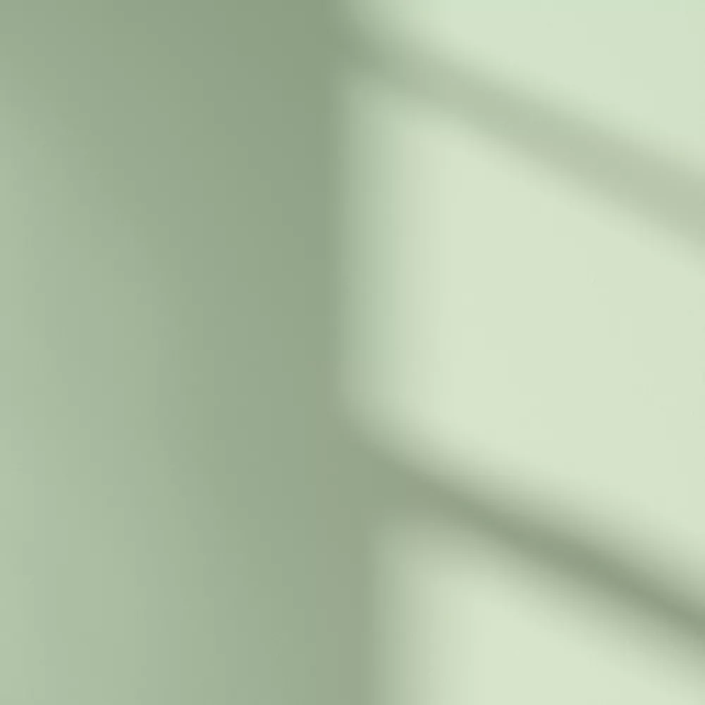 LickPro Matt Green 13 Emulsion Paint 5Ltr - Image 3