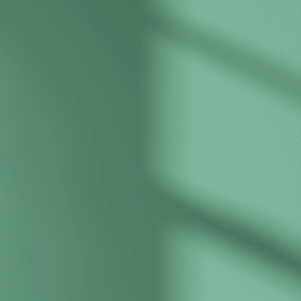 LickPro Matt Green 17 Emulsion Paint 5Ltr - Image 3