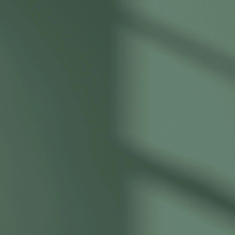 LickPro Matt Green BS 14 C 39 Emulsion Paint 2.5Ltr - Image 3