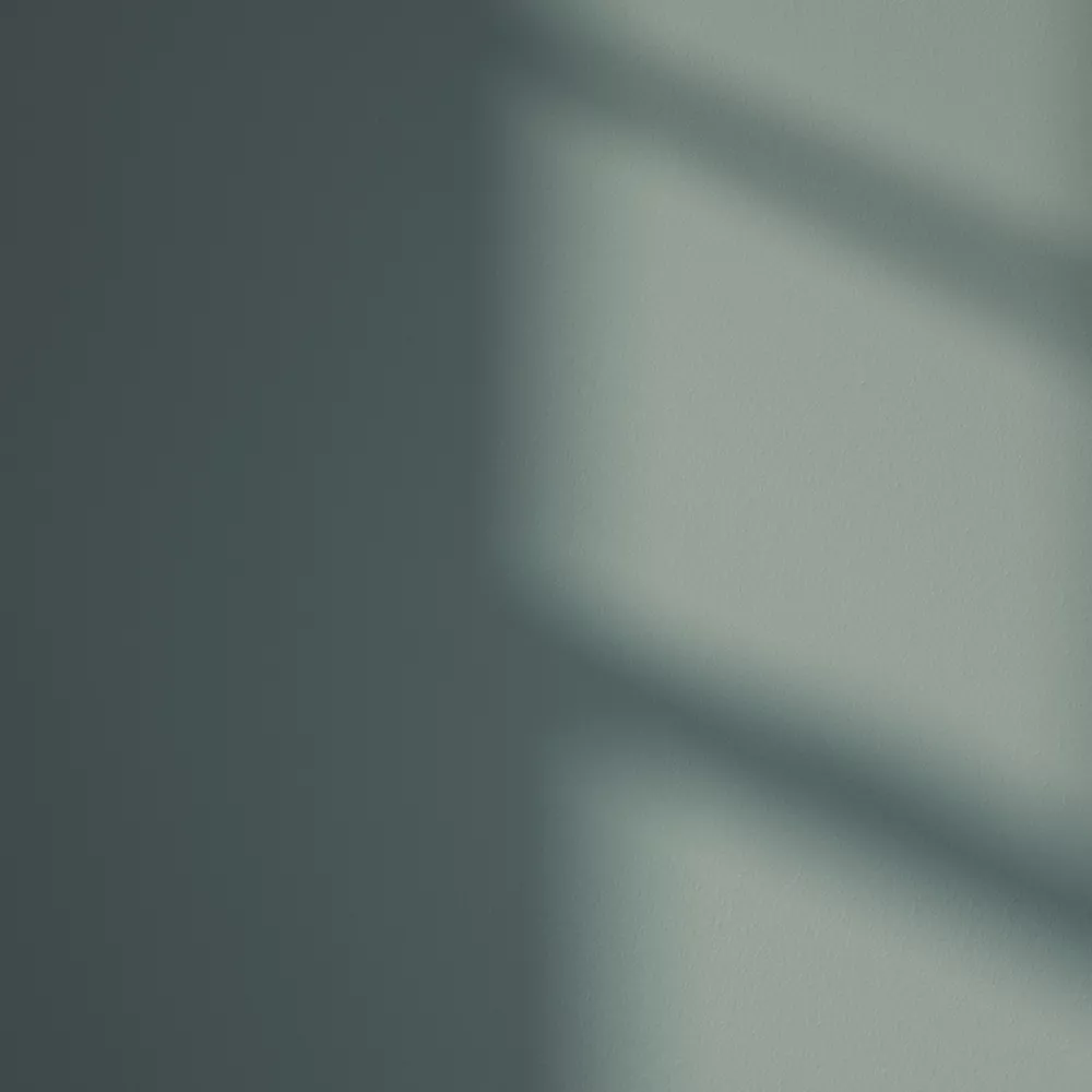 LickPro Matt Green 03 Emulsion Paint 5Ltr - Image 3