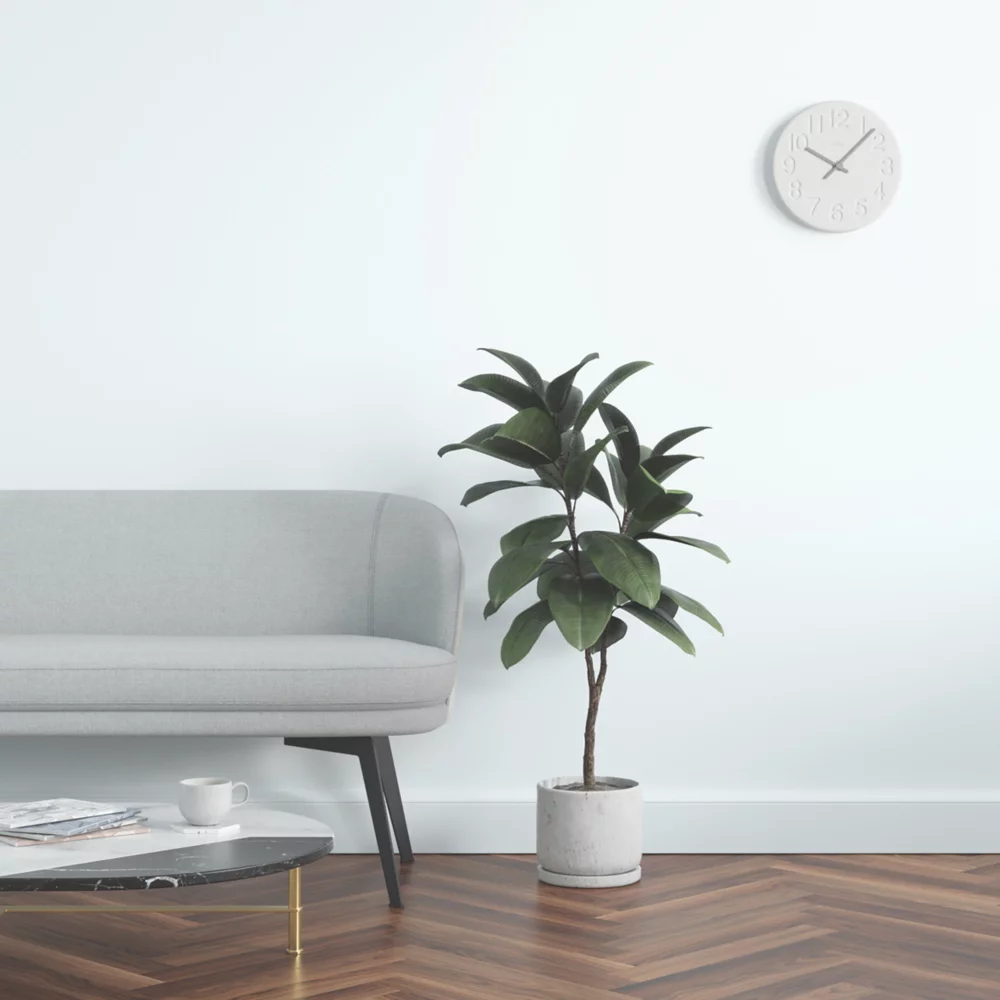 LickPro Matt White 10 Emulsion Paint 5Ltr - Image 6