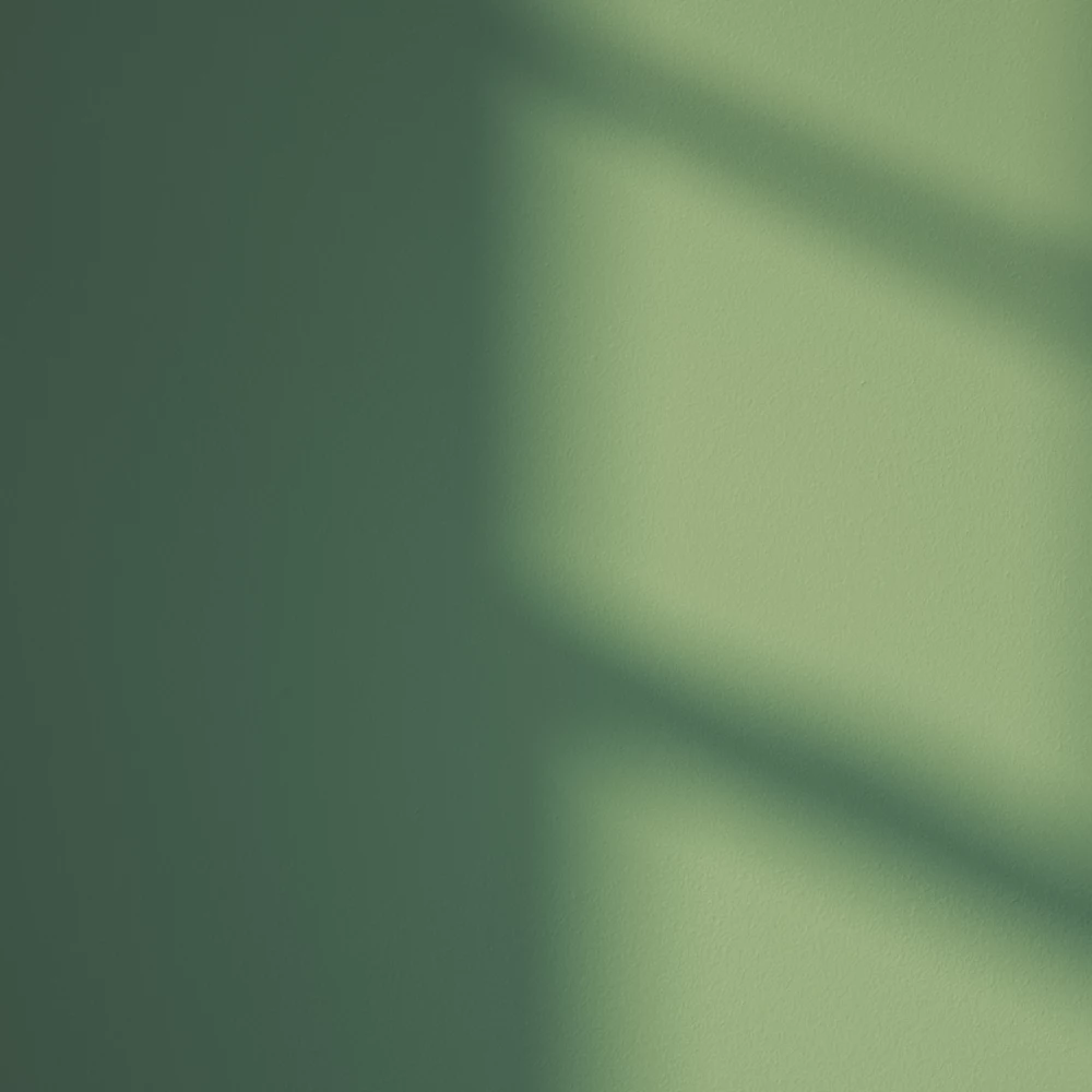 LickPro Eggshell Green 07 Emulsion Paint 2.5Ltr - Image 3