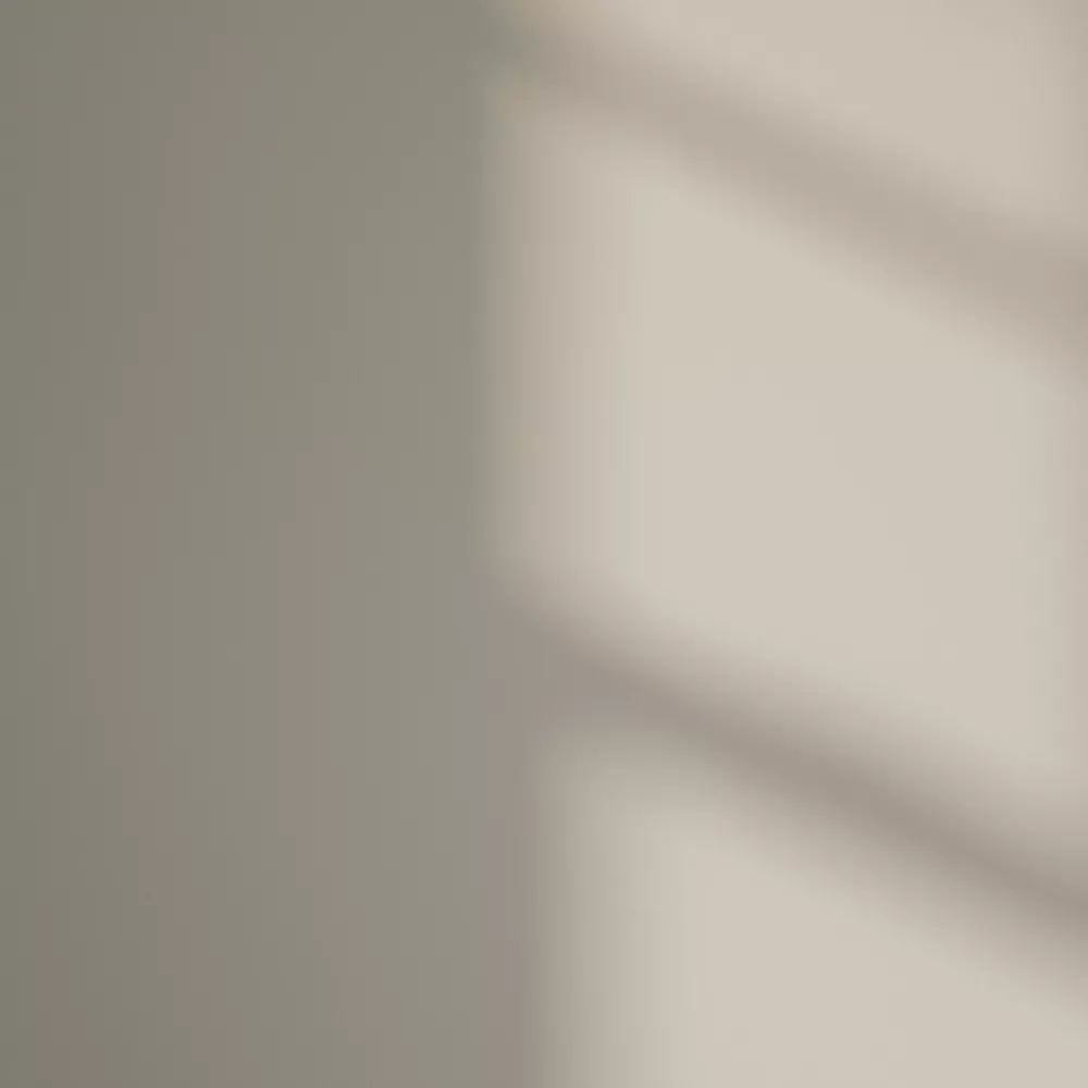 LickPro Eggshell Beige 04 Emulsion Paint 2.5Ltr - Image 3