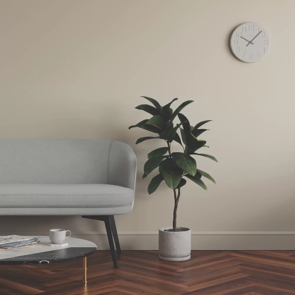 LickPro Eggshell Beige 04 Emulsion Paint 2.5Ltr - Image 6