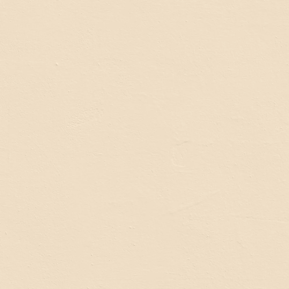 LickPro Matt White BS 08 C 31 Emulsion Paint 2.5Ltr - Image 2