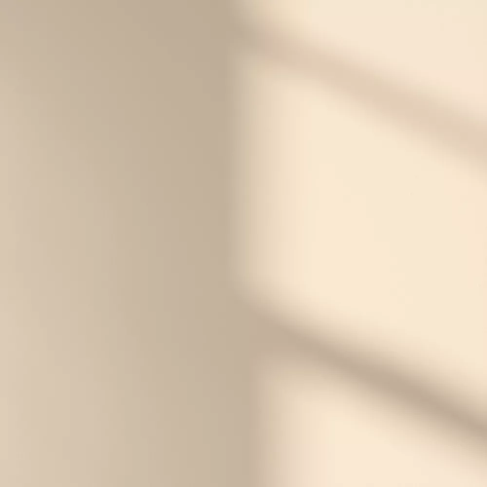 LickPro Matt White BS 08 C 31 Emulsion Paint 2.5Ltr - Image 3