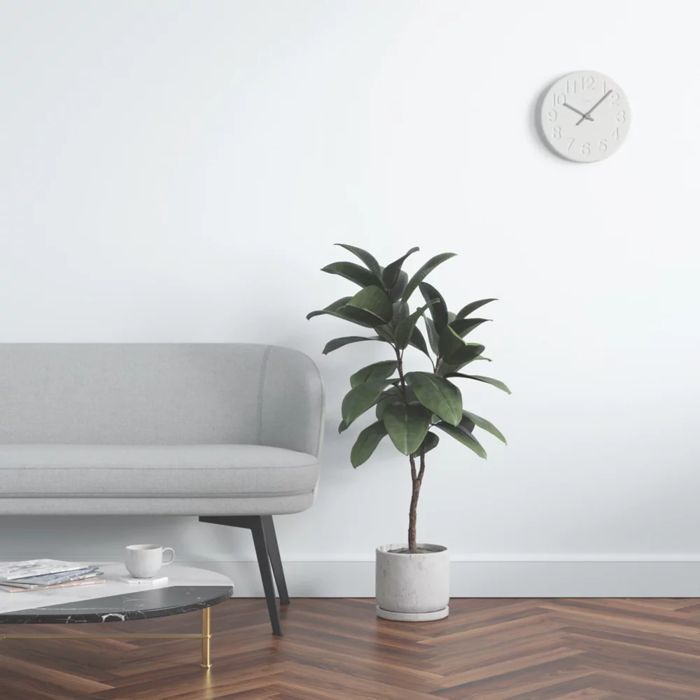 LickPro Matt White 09 Emulsion Paint 2.5Ltr - Image 6