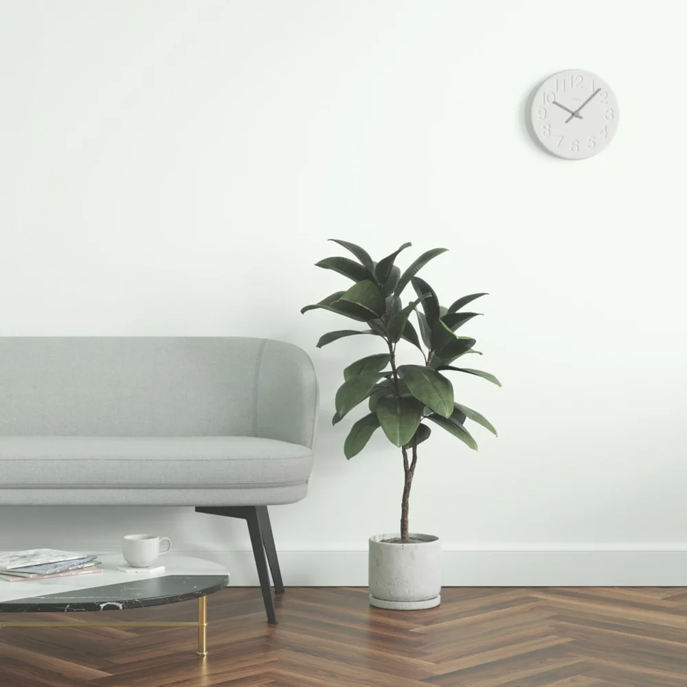 LickPro Matt Green 12 Emulsion Paint 2.5Ltr - Image 6