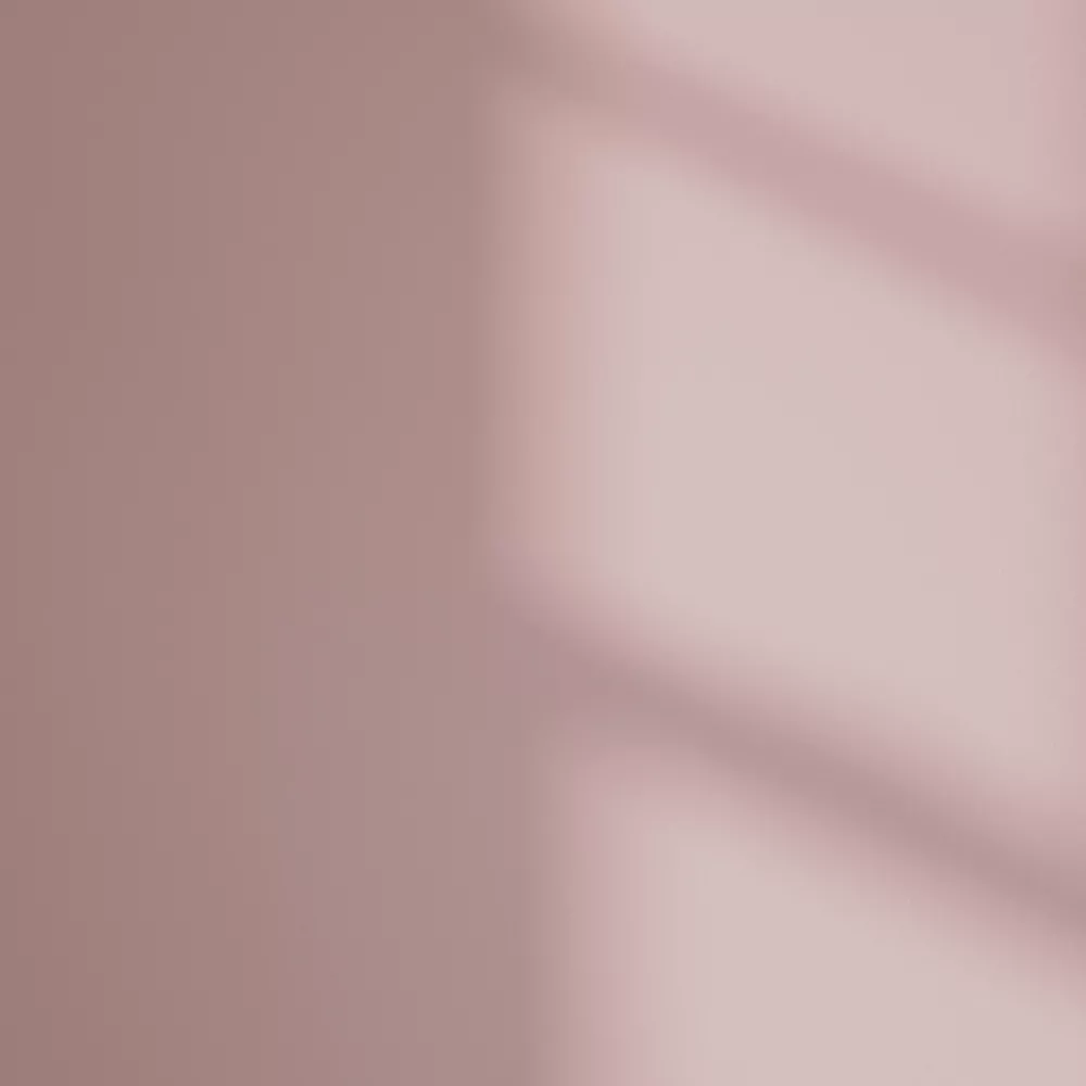 LickPro Matt Pink 05 Emulsion Paint 2.5Ltr - Image 3