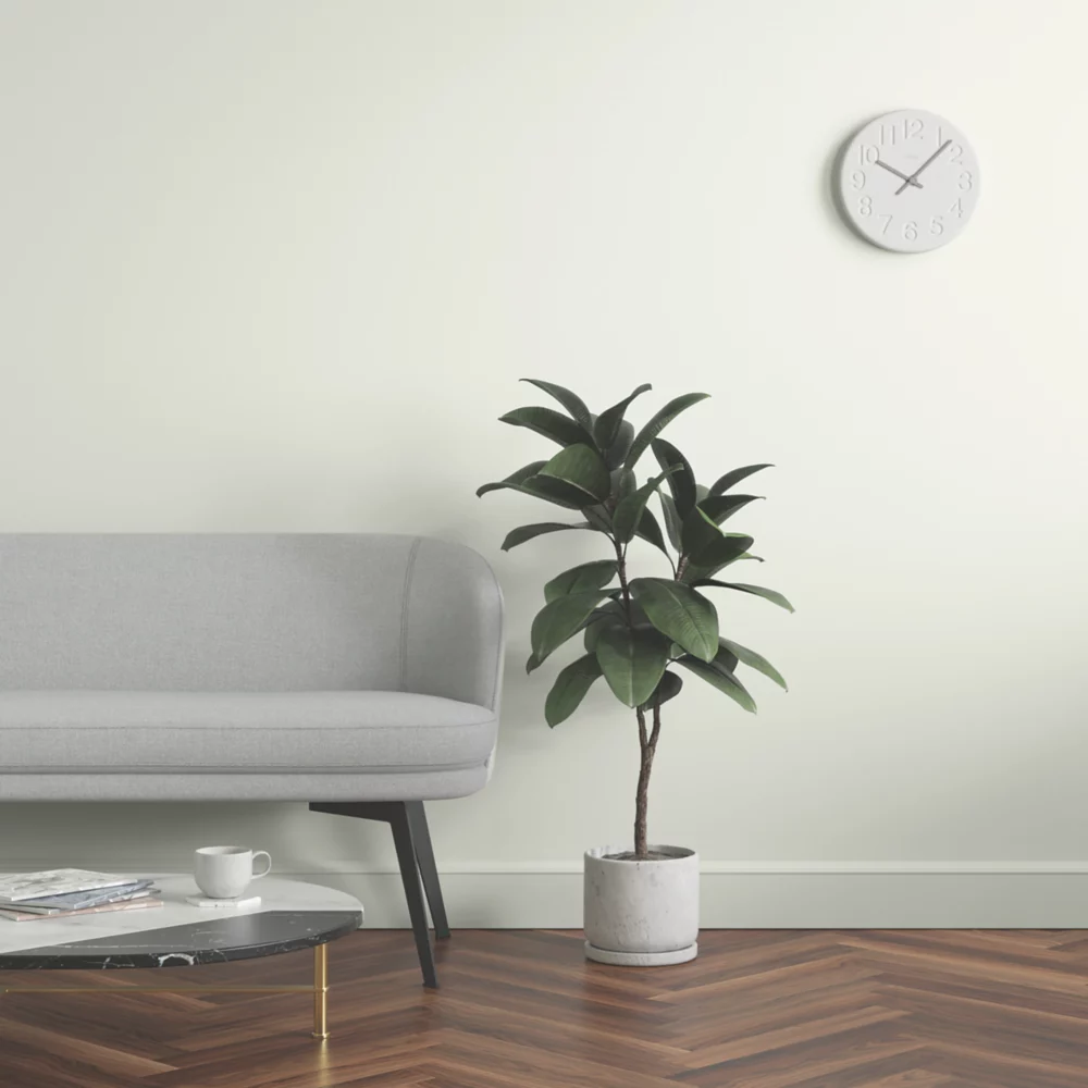 LickPro Eggshell Grey RAL 9002 Emulsion Paint 2.5Ltr - Image 6