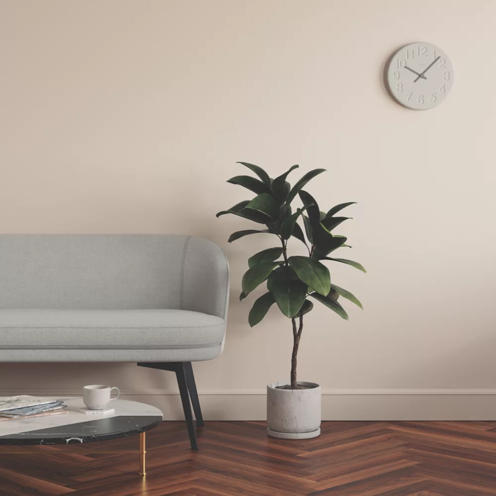 LickPro Eggshell Pink 01 Emulsion Paint 2.5Ltr - Image 6