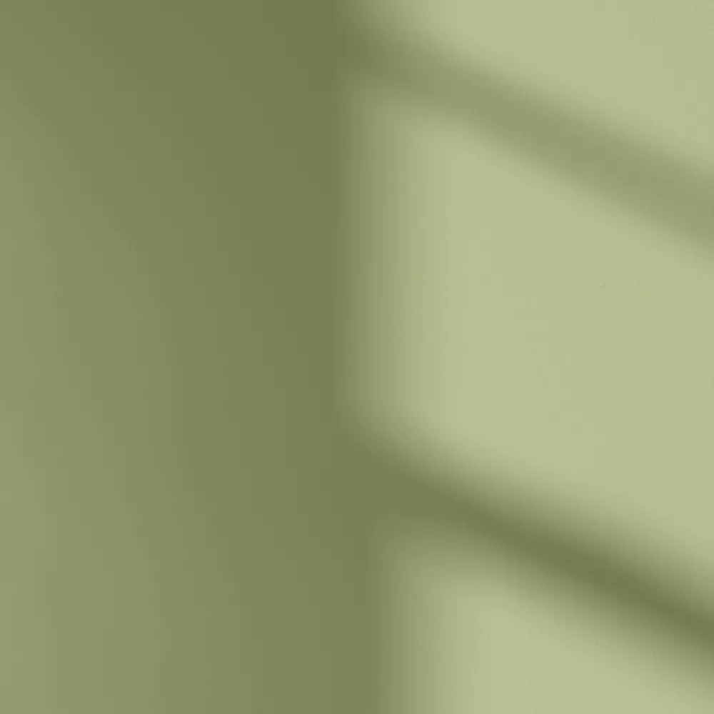 LickPro Matt Green 18 Emulsion Paint 5Ltr - Image 3